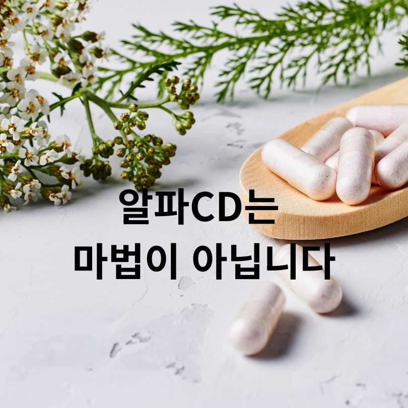 알파CD고르는방법 : 다이어트 효과 제대로 보는 법!