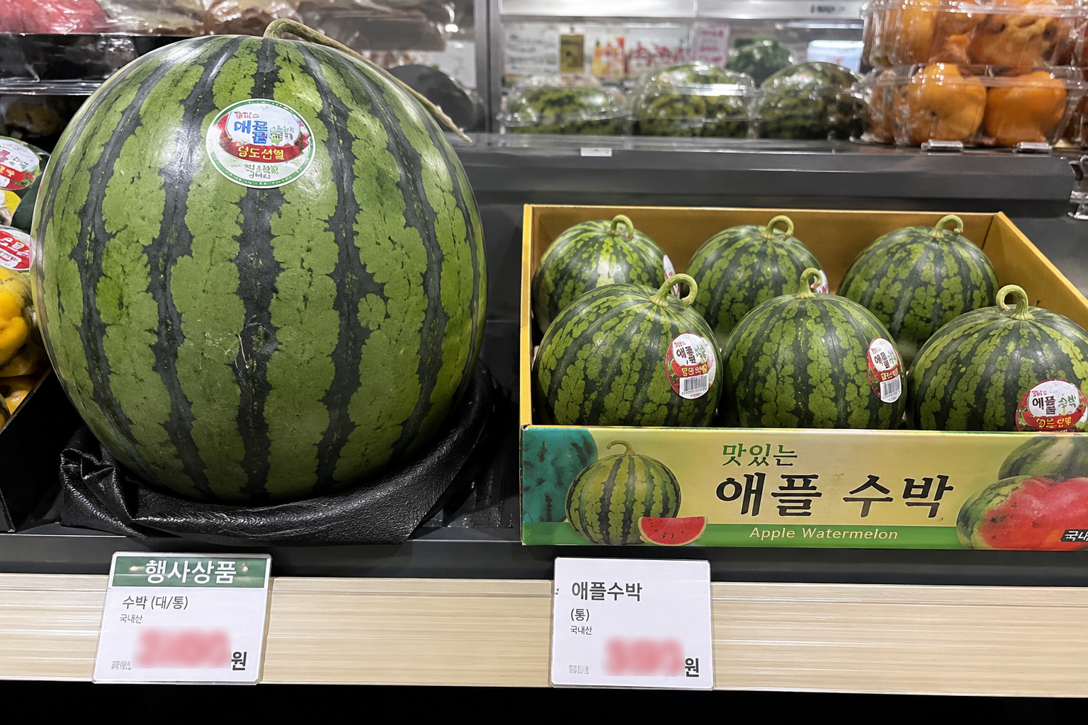 왼쪽: 일반 수박, 오른쪽: 애플수박
크기 차이가 한눈에 보이는 마트 진열대에 놓인 비교 컷
