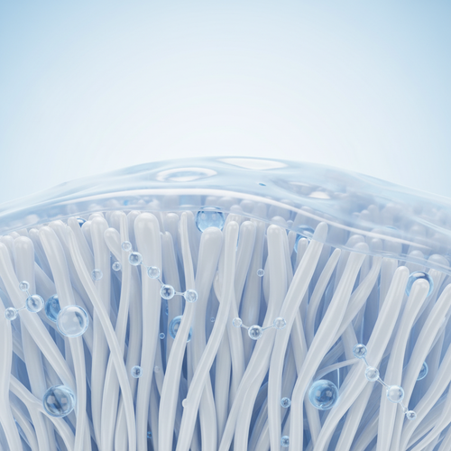 뮤코다당단백: 연골 보호와 유연성의 비밀