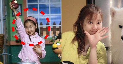노희지