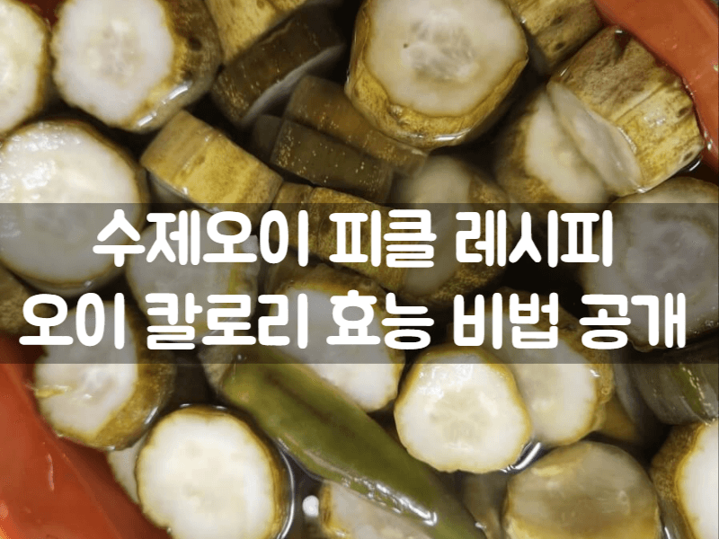수제 반찬 오이피클 만들기 오이 효능 칼로리 밑반찬 레시피