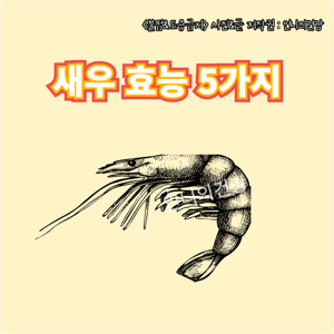 키토산