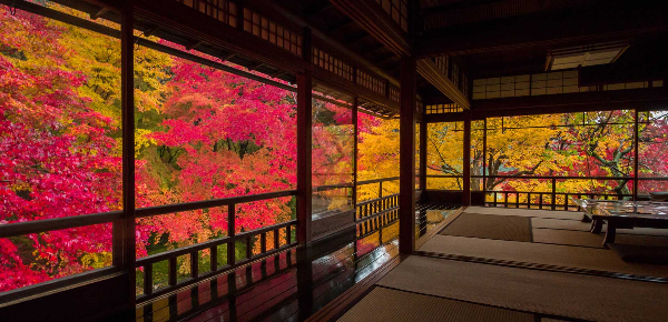 현대의 럭셔리 료칸 (Luxury Ryokan) 들은 전통을 보존하는 것을 넘어, 지역 사회 및 환경과의 지속 가능한 상생 (Sustainable Coexistence) 을 추구합니다.