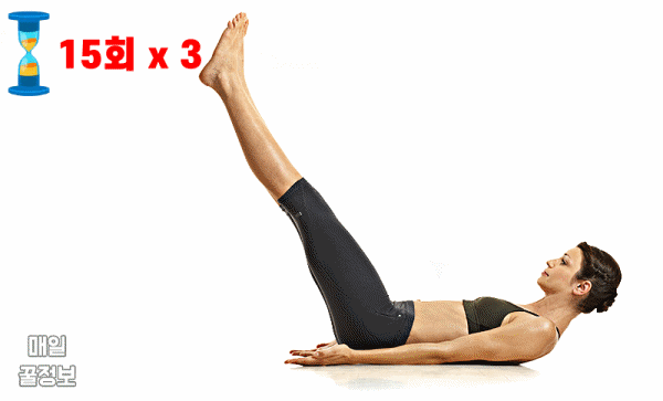 24인치 허리 라인 만드는 운동, 레그레이즈, 뱃살 빼는 최고의 운동 홈트, 다이어트 팁줌