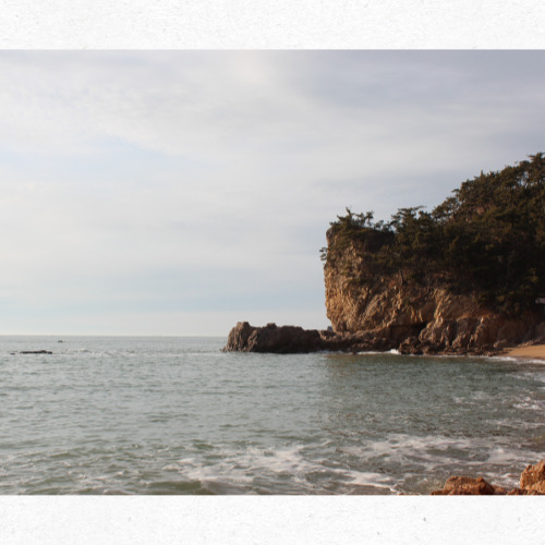 태안 몽산포 백사장과 소나무숲