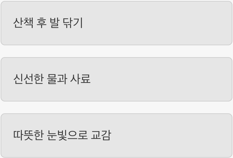 하루를 넘어&amp;#44; 매일이 &lsquo;개의 날&rsquo;처럼