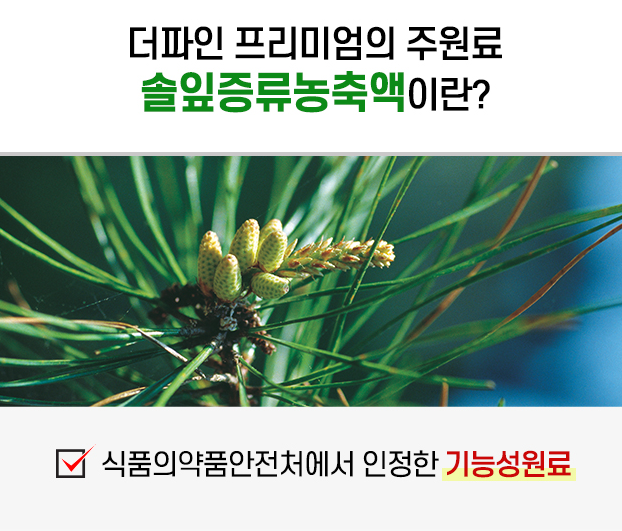 주요 성분