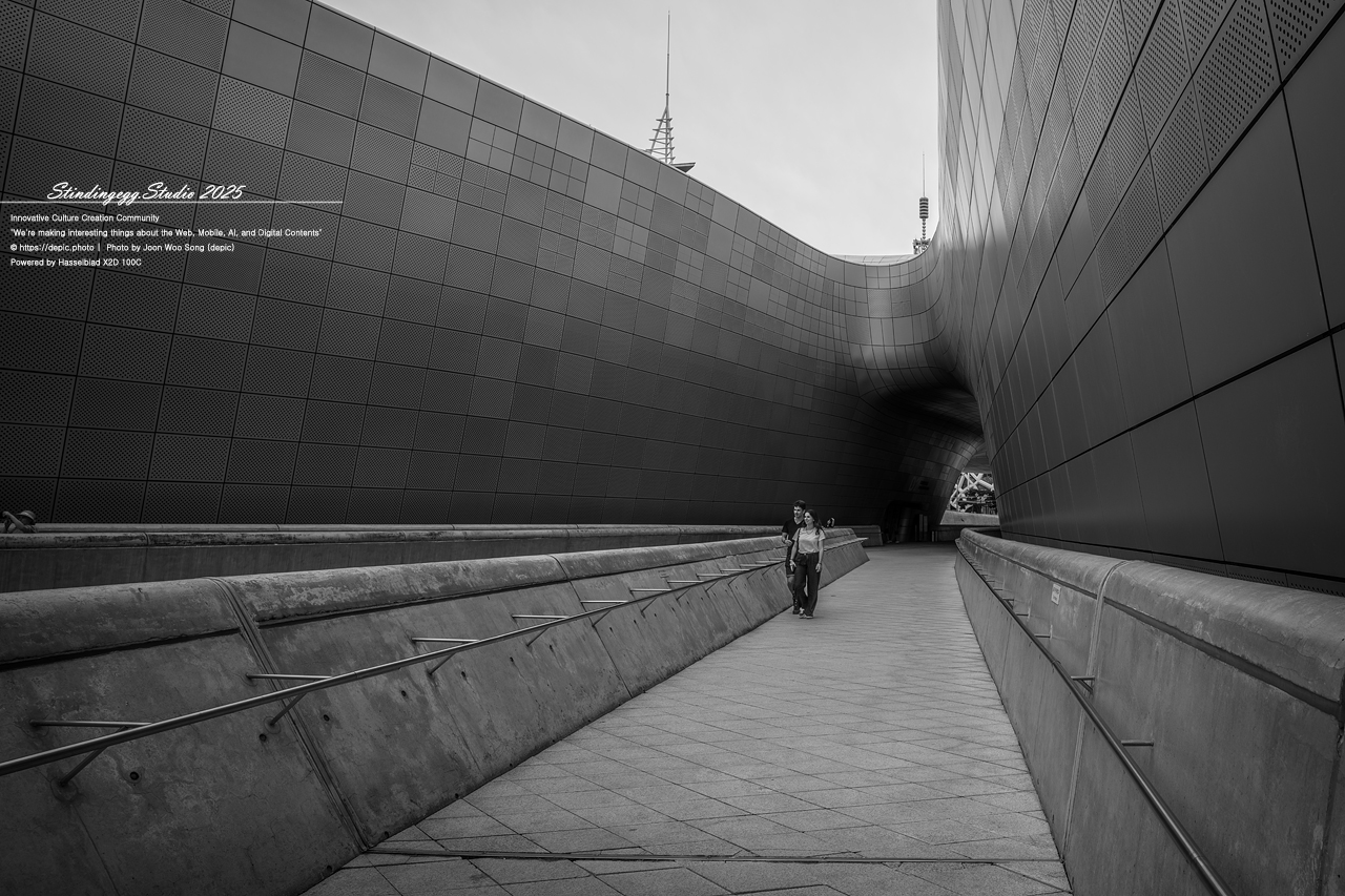 #서울 #동대문디자인플라자 #패션 #디자인 #DDP