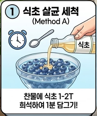 블루베리 세척법