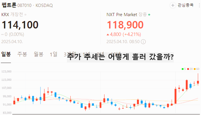 치매 비만치료제 관련주 대장주 TOP5