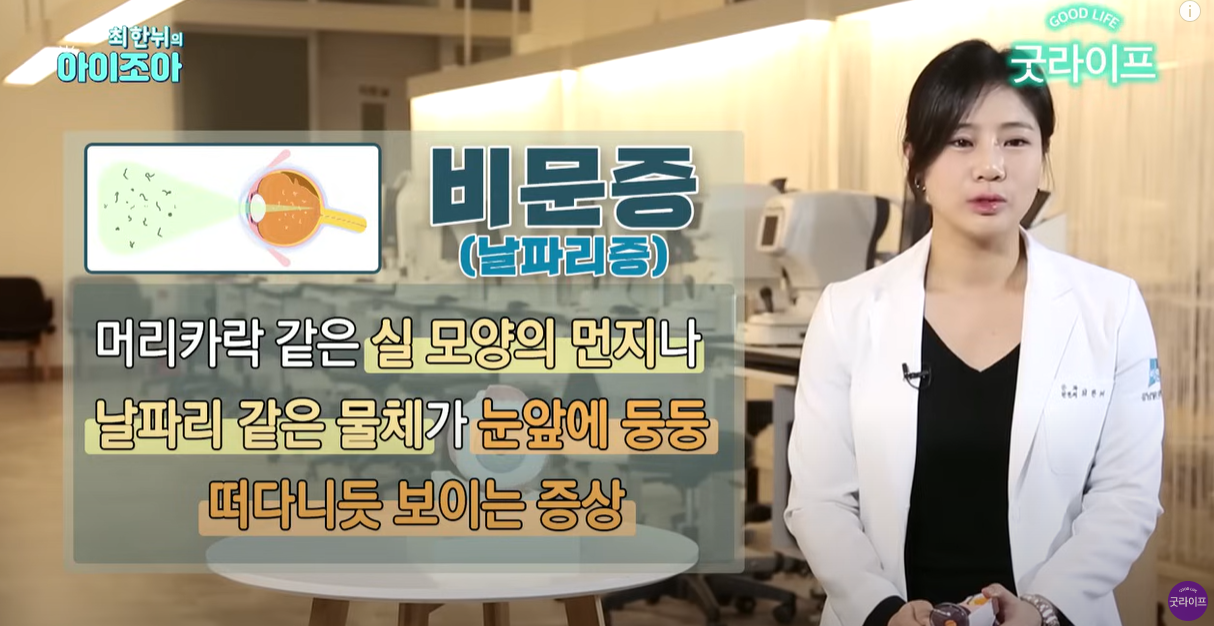 비문증이란