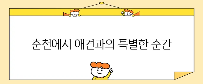 강원도 여행 애견과 함께하는 춘천의 헤이 춘천 펫룸에서 특별한 경험을 즐겨보세요.