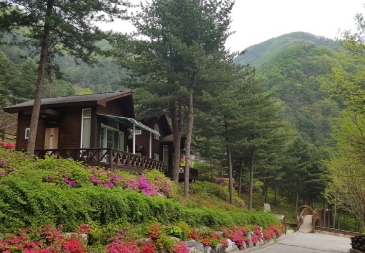 칼봉산 자연휴양림