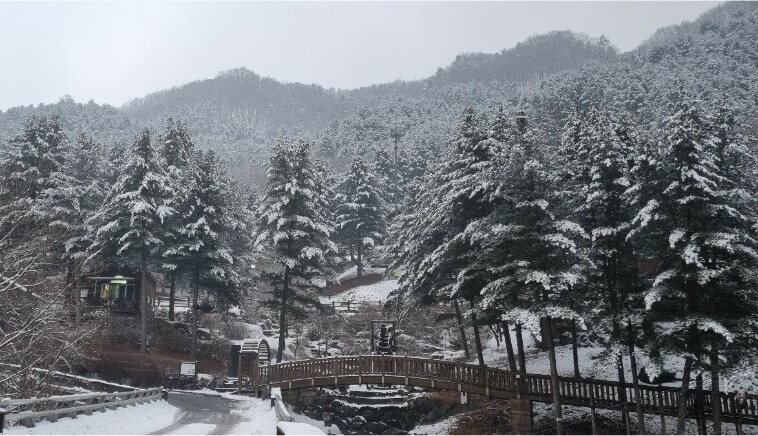 칼봉산자연휴양림의 겨울사진