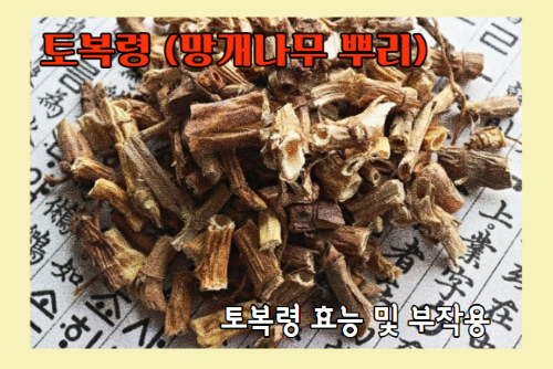 망개나무 뿌리(망개나무 뿌리) 효능 6가지와 부작용
