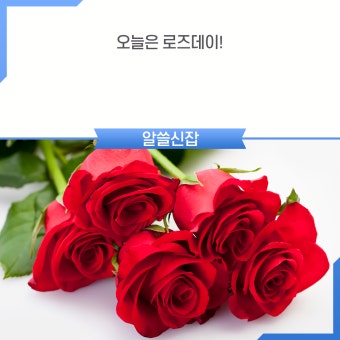 로즈데이(5월 14일) 의미와 유래｜꽃 한 송이로 마음을 전하는 날