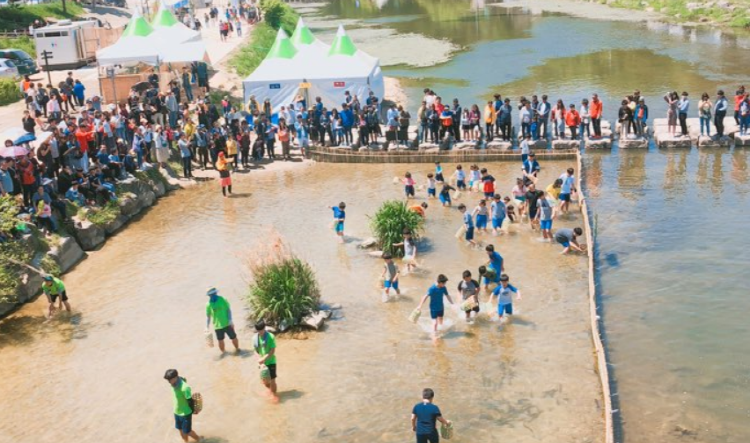 담양대나무 축제