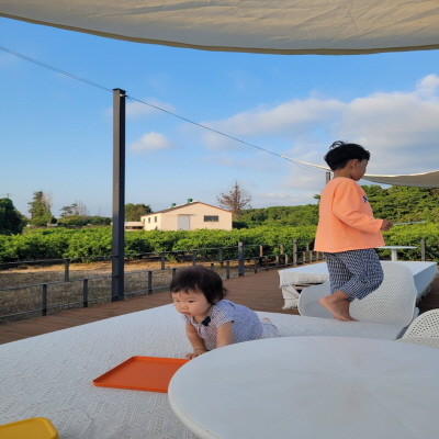 한경맛집 명리동식당 밀크홀 제주개생활연구소