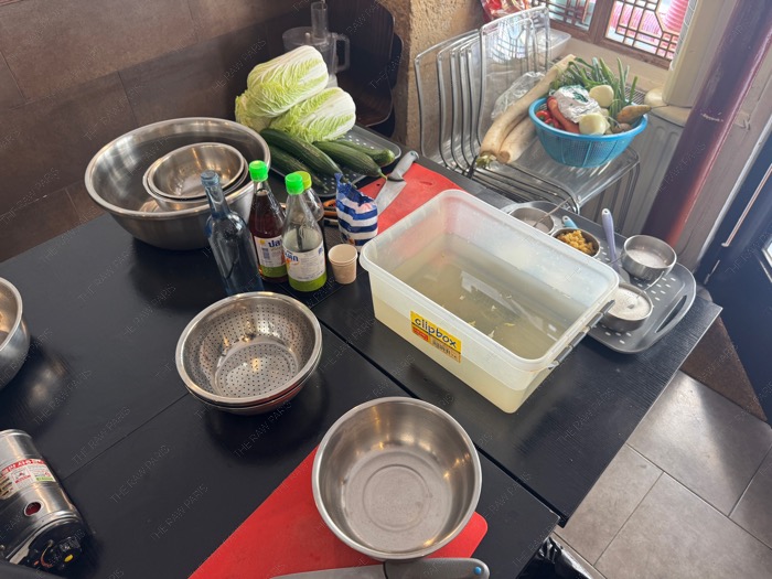 Fresh ingredients and Korean seasonings like chili powder and fish sauce prepared for Kimchi class ❘ Ingrédients frais et condiments coréens comme le piment en poudre et la sauce de poisson pour le cours de Kimchi