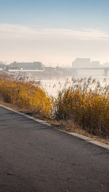 전주 근교 산책·달리기·트레킹 명소 7곳 | 주말 액티비티 완벽 가이드