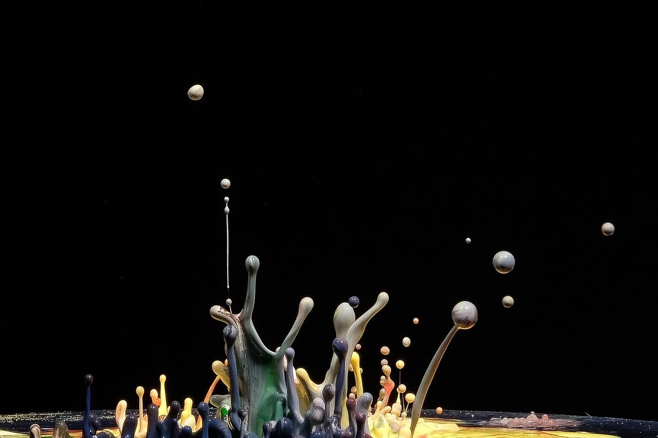 오배자(五倍子)로 만드는 검정색 염료의 비밀