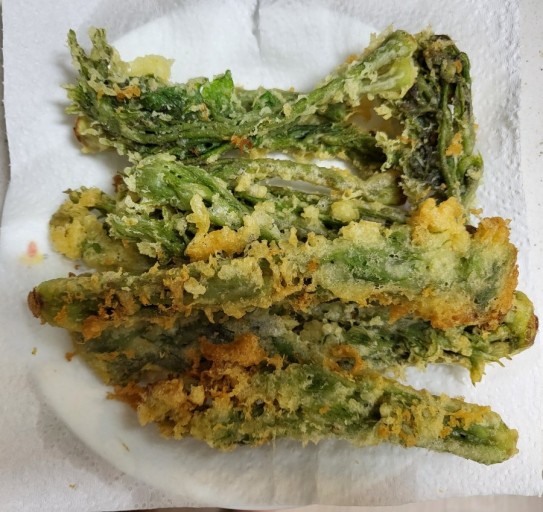 땅두릅 참두릅 효능과 부작용 