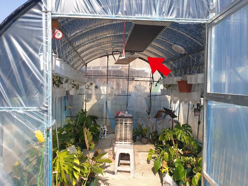 석유난로를 사용하고 있는 소형 비닐하우스 모습