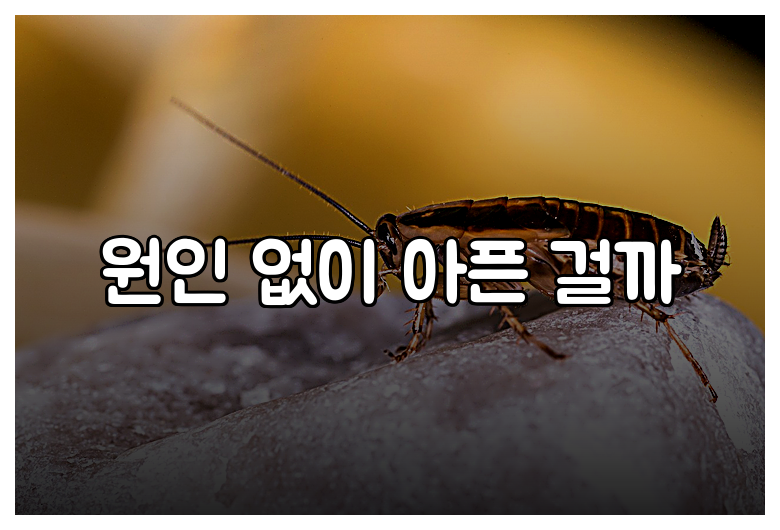 원인 없이 아픈 걸까