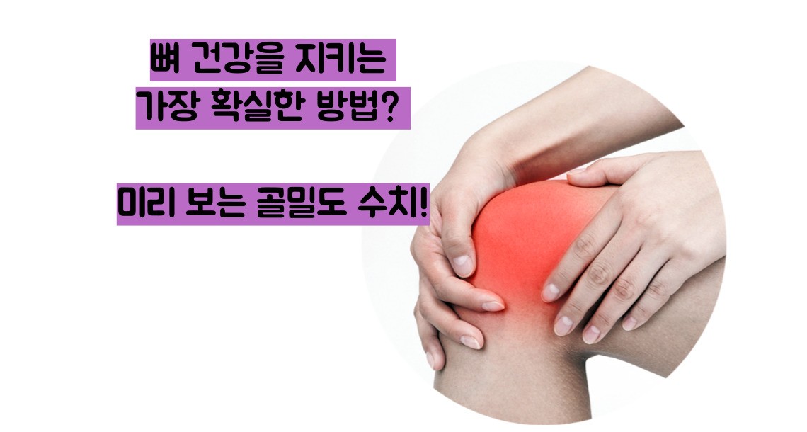 골다공증 수치