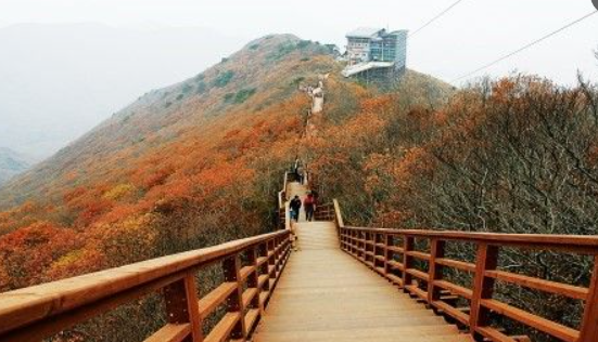 2025 두륜산 단풍 절정 시기 공개! 가을 인기 등산코스 best 3