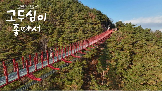 고두심이좋아서-채계산-출렁다리