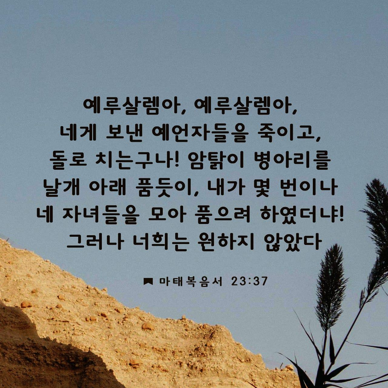 마태복음-23장-37절