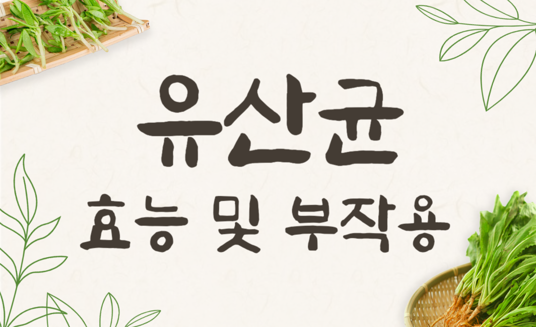 다이어트에 좋은 BNR17 유산균 효능과 복용 꿀팁