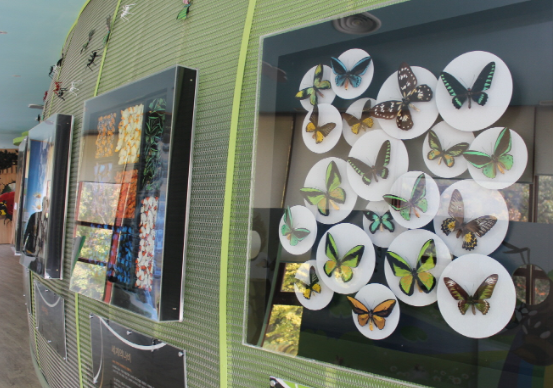 대전 근교 계곡 평상 물놀이 남이자연휴양림 금산산림문화타운(출처-홈페이지)