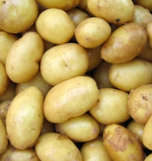 위궤양에 좋은 음식 영양제 식단