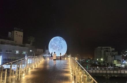 제주 월 대천 축제 