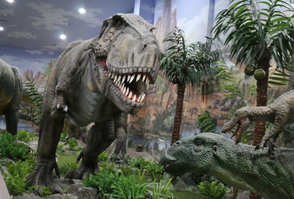 덕소자연사박물관