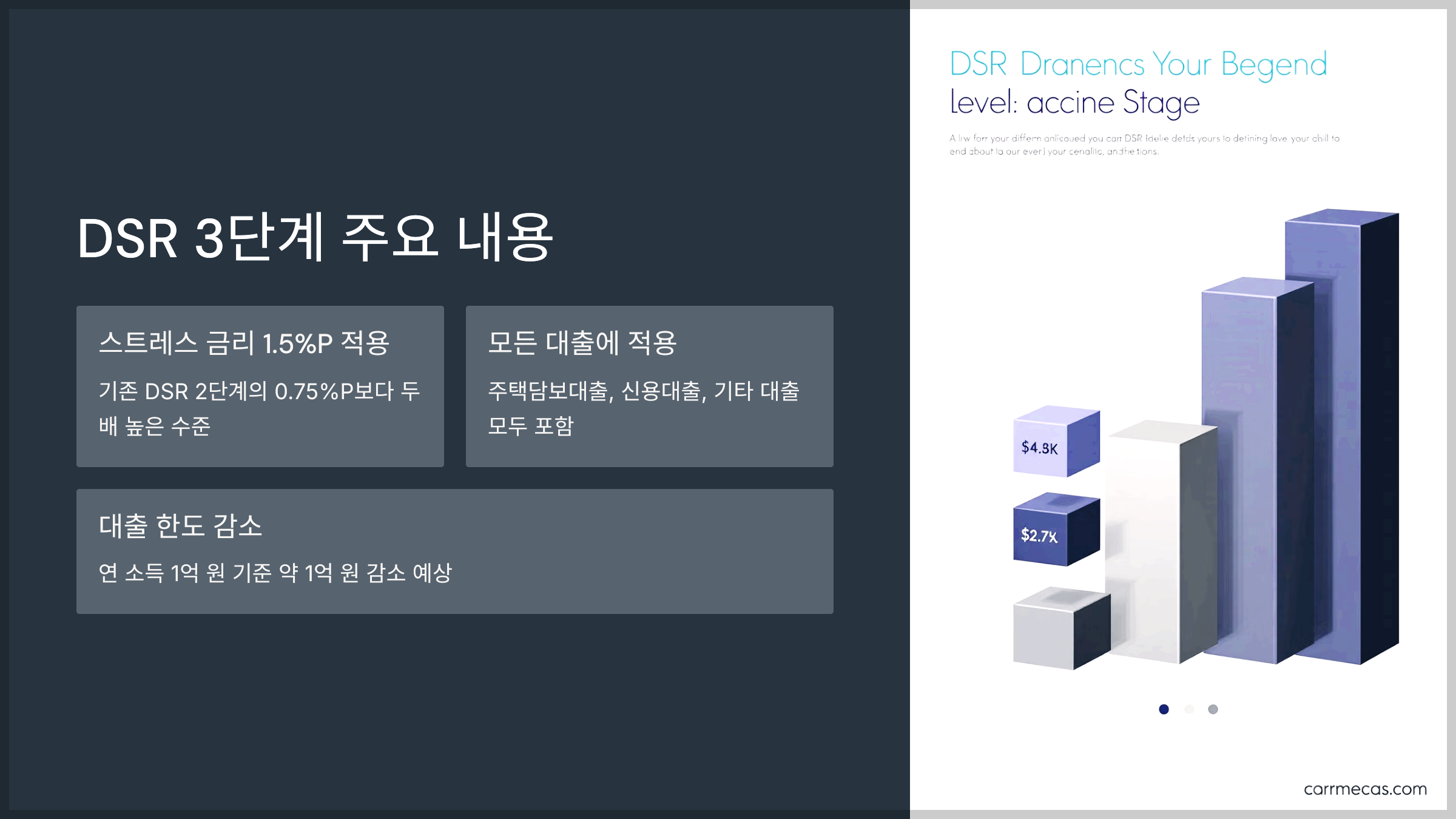 DSR 3단계 주요 내용