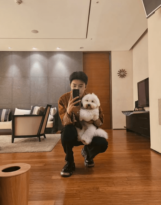 임영웅 세금 체납 압류