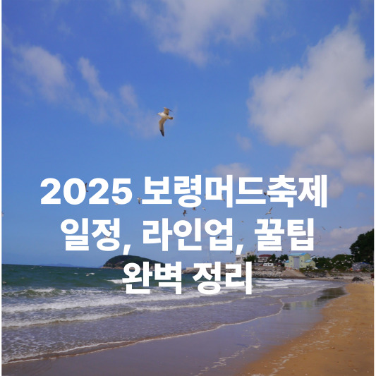 2025 보령머드축제 : 일정&amp;#44; 라인업&amp;#44; 꿀팁&amp;#44; 완벽 정리