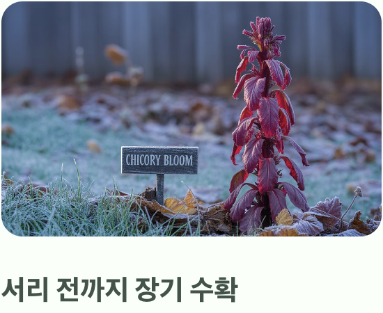 가장 큰 즐거움, 수확의 기쁨