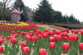 4월 제주도 가볼만한 곳 10곳