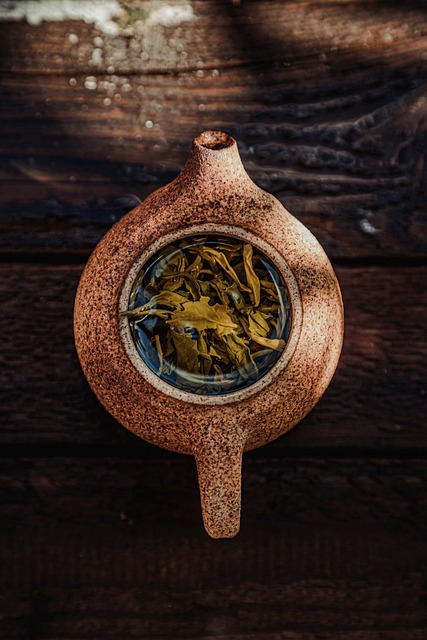 녹차 효능 총정리! 다이어트부터 항산화까지