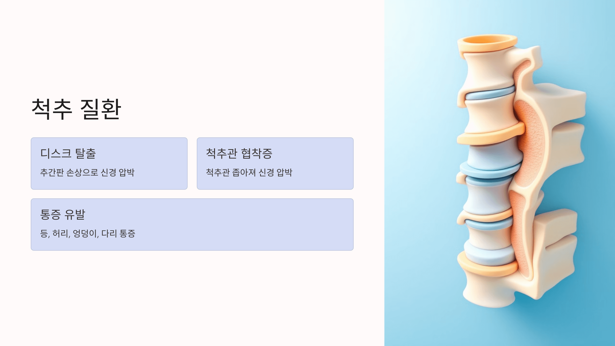 등이 아픈 증세와 관련된 사진입니다.