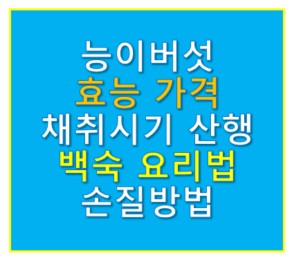 능이버섯 효능