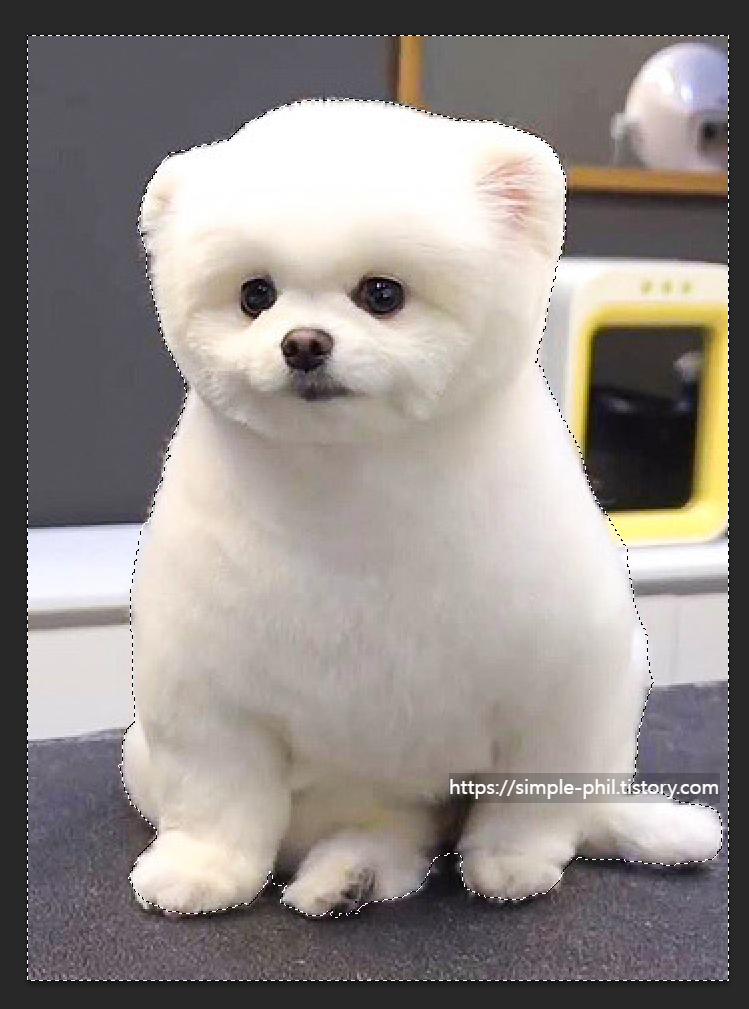 포토샵 배경제거