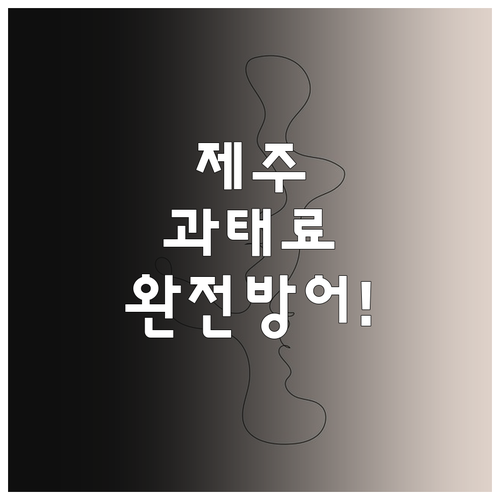 제주시 불법 주정차단속 문자 알림 신..