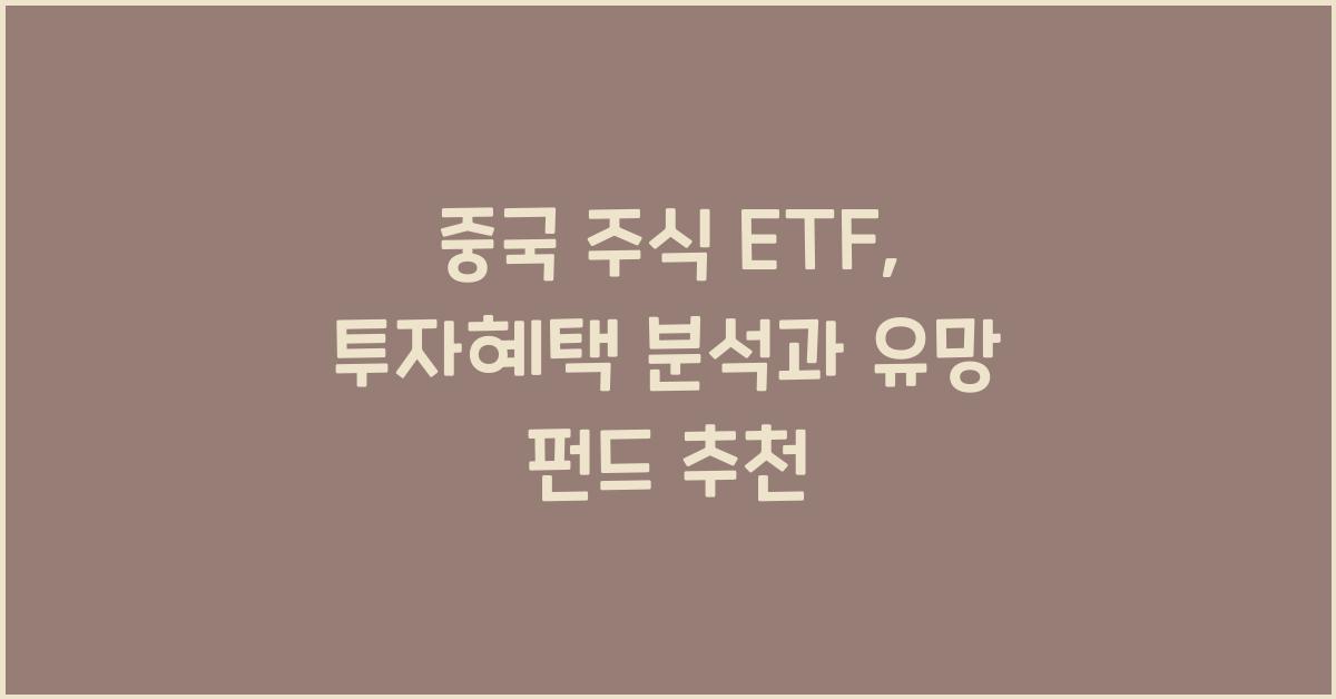 중국 주식 etf