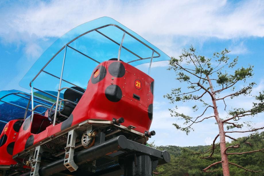 솔향공원 스카이바이크