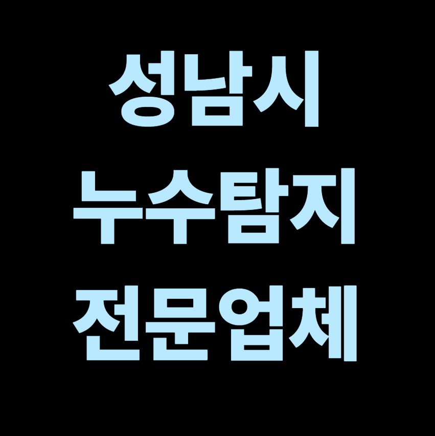 성남시 누수탐지 전문업체